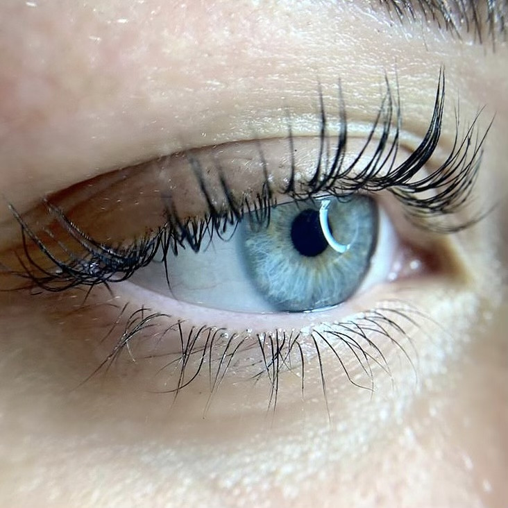 Elite Studio Piccolo #beograd Trepavice Lash lift + botox + farbanje