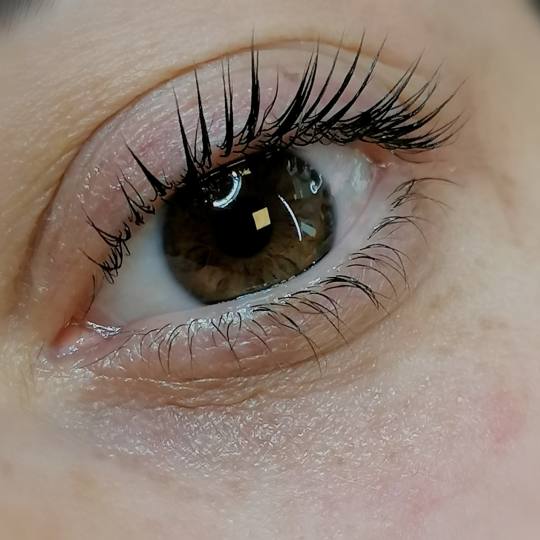Beauty Studio Asja 2 #novisad Trepavice Lash lift Lash lft je tretman uvijanja,podizanja,farbanja i 