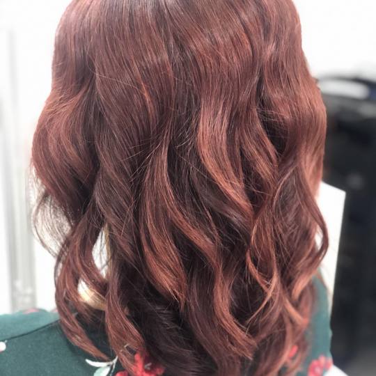 Beauty by Sanja #novisad Farbanje kose Farbanje cele dužine Revlon Professional farbom - duga kosa 