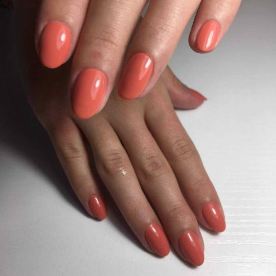 Look at me #beograd Manikir Manikir + Shellac