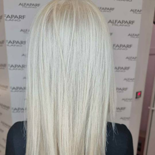 Alfaparf Studio Ada Mall #beograd Farbanje kose Farbanje cele dužine - duga kosa