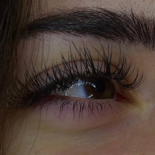 Mega Sun - Rakovica usluga