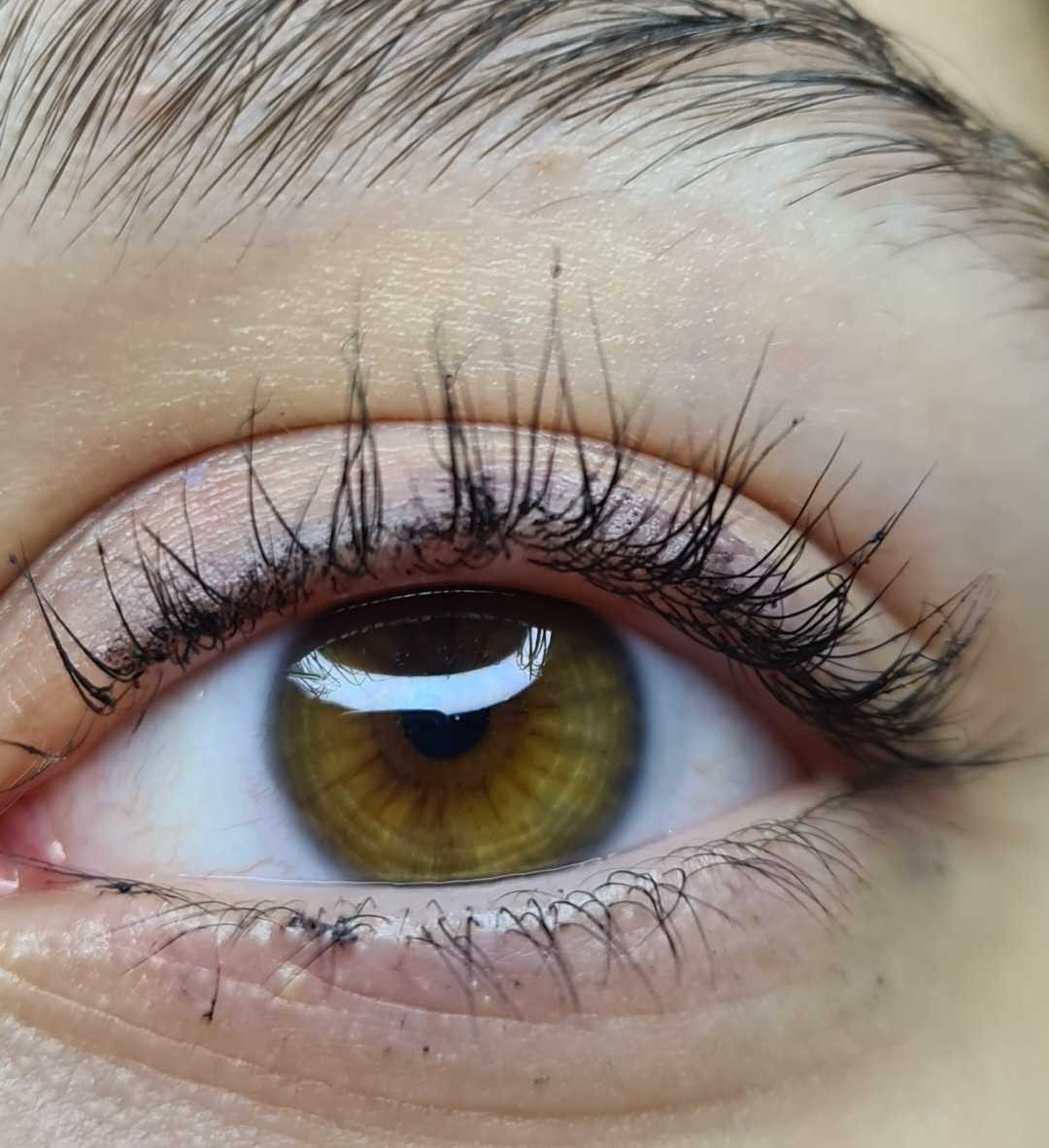 SunBox #beograd Trepavice Lash lift