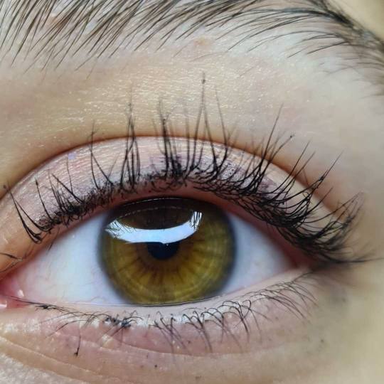 SunBox #beograd Trepavice Lash lift #lashlift #vidikovac #trepavice