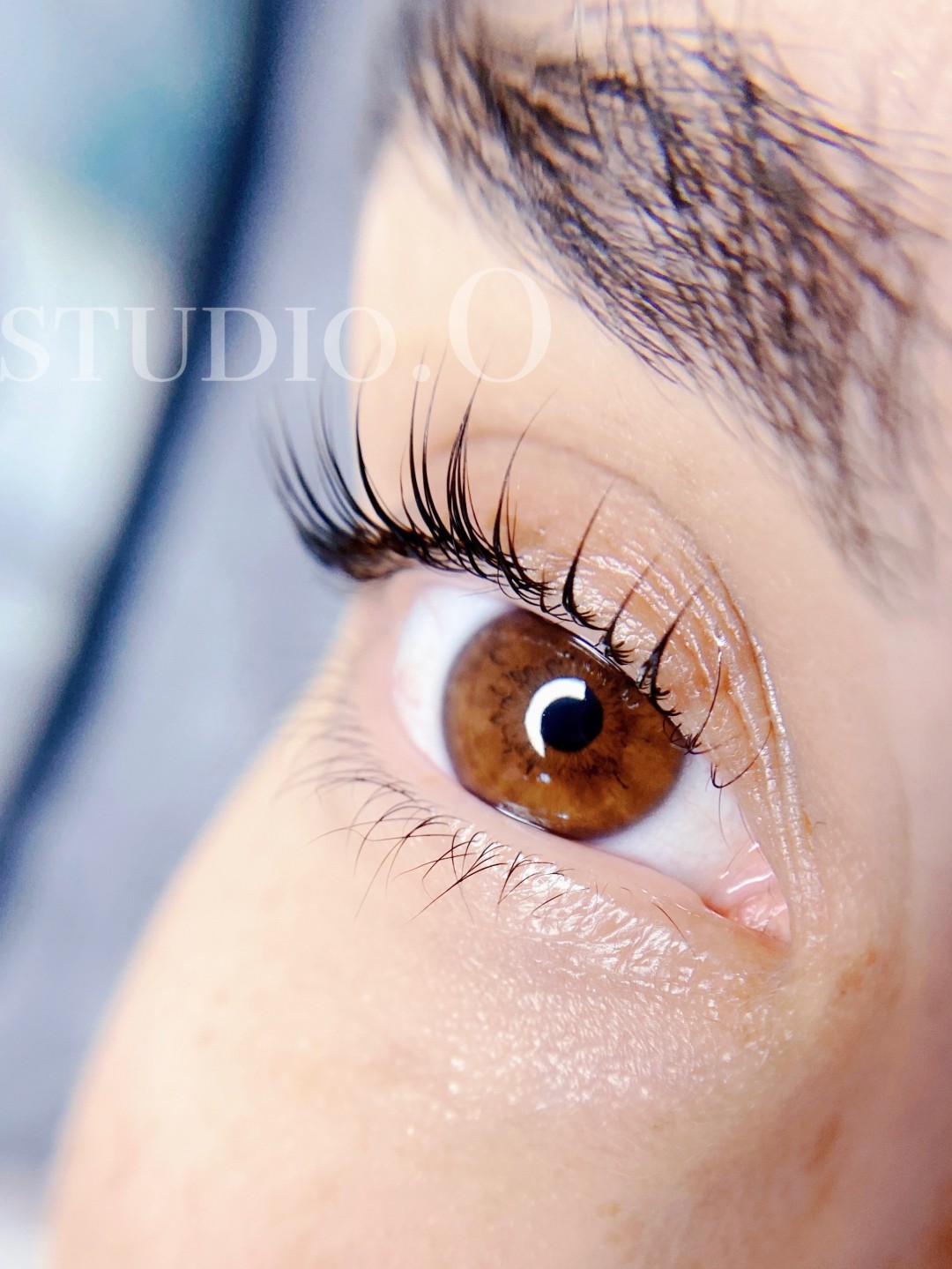 Studio O #novisad Trepavice Laminacija trepavica / lash lift + farbanje