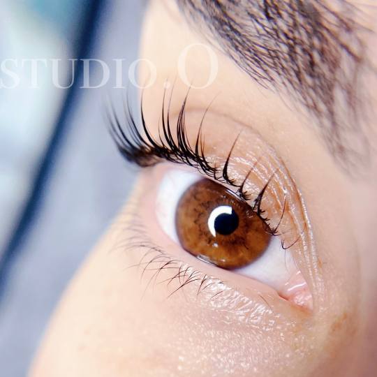 Studio O #novisad Trepavice Laminacija trepavica / lash lift + farbanje
