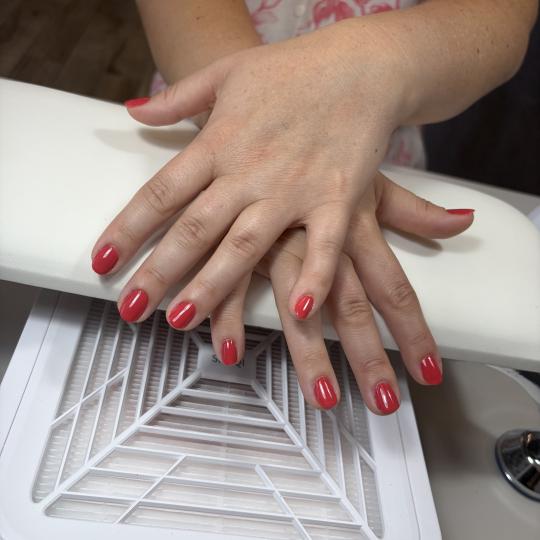 LM hair studio #beograd Gel lak Gel lak / rubber baza - ruke