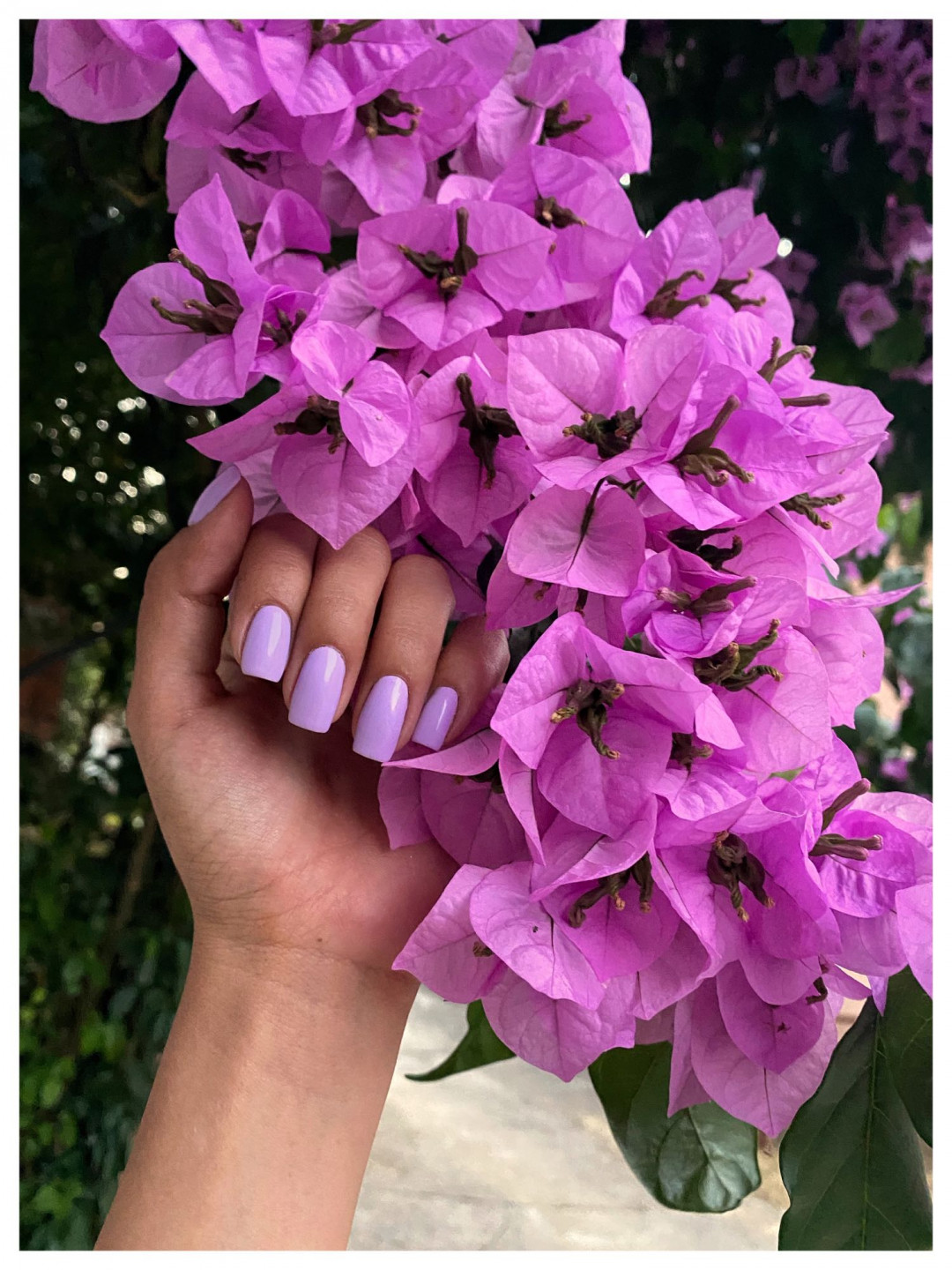 Monami beauty #beograd Manikir Manikir + gel lak
