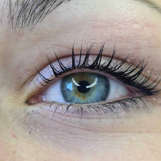 SunBox #beograd Trepavice Lash lift