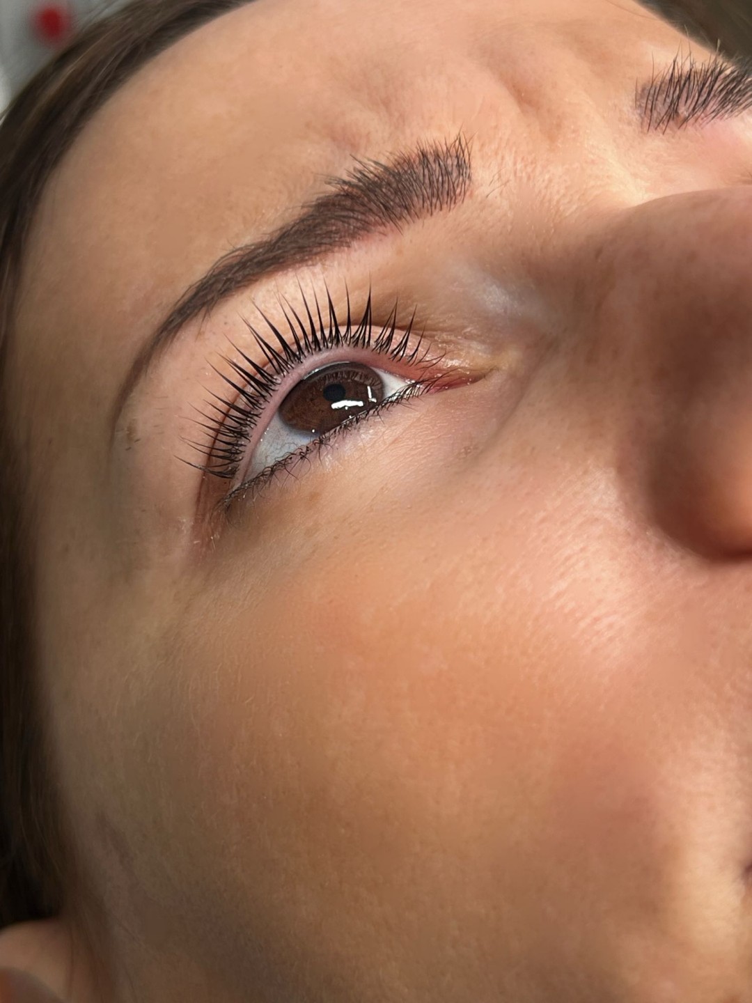 Alexandria Brow&Beauty lounge #beograd Trepavice Lash lift
