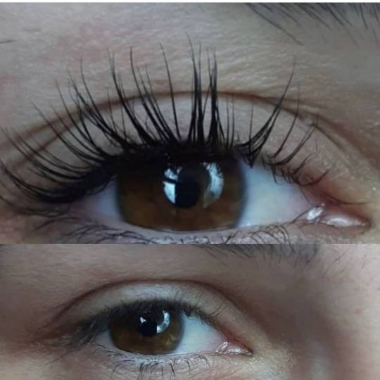 Let's go Ladies #beograd Trepavice Lash lift + farbanje trepavica + Botox