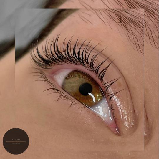 Atelier Beauty Bar #nis Trepavice Lash lift + farbanje trepavica Lash lift