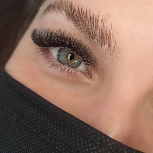 Gloss studio #nis Obrve Brow lift