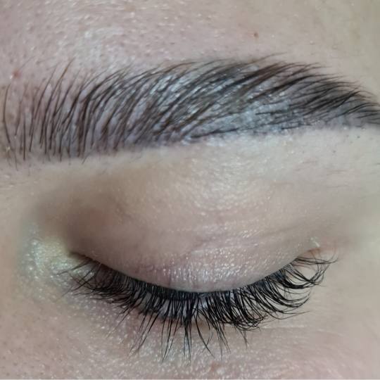 SunBox #beograd Obrve Brow lift