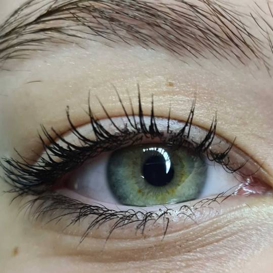 SunBox #beograd Trepavice Lash lift #trepavice #vidikovac #lashlift #sunbox