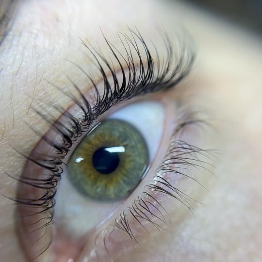 Maison 1 #beograd Trepavice Lash lift
