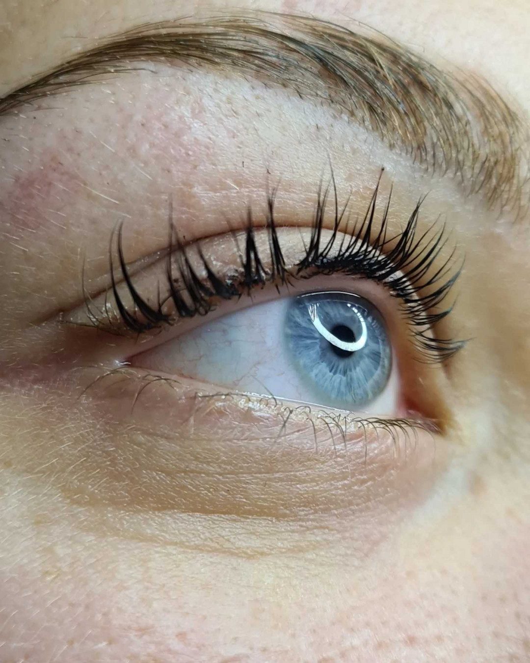 SunBox #beograd Trepavice Lash lift