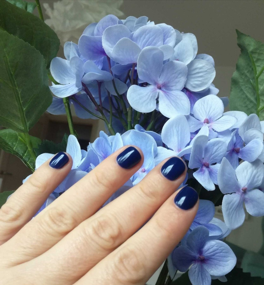 Monstera beauty salon #beograd Manikir Manikir + gel lak