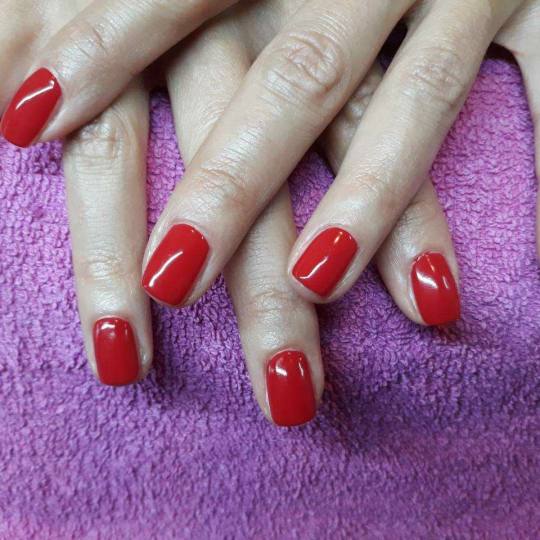 Bonar #beograd Manikir Manikir + shellac