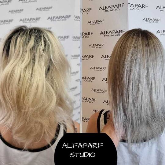 Alfaparf Studio #beograd Ombre, sombre, balayage Balayage / ombre / sombre - duga kosa