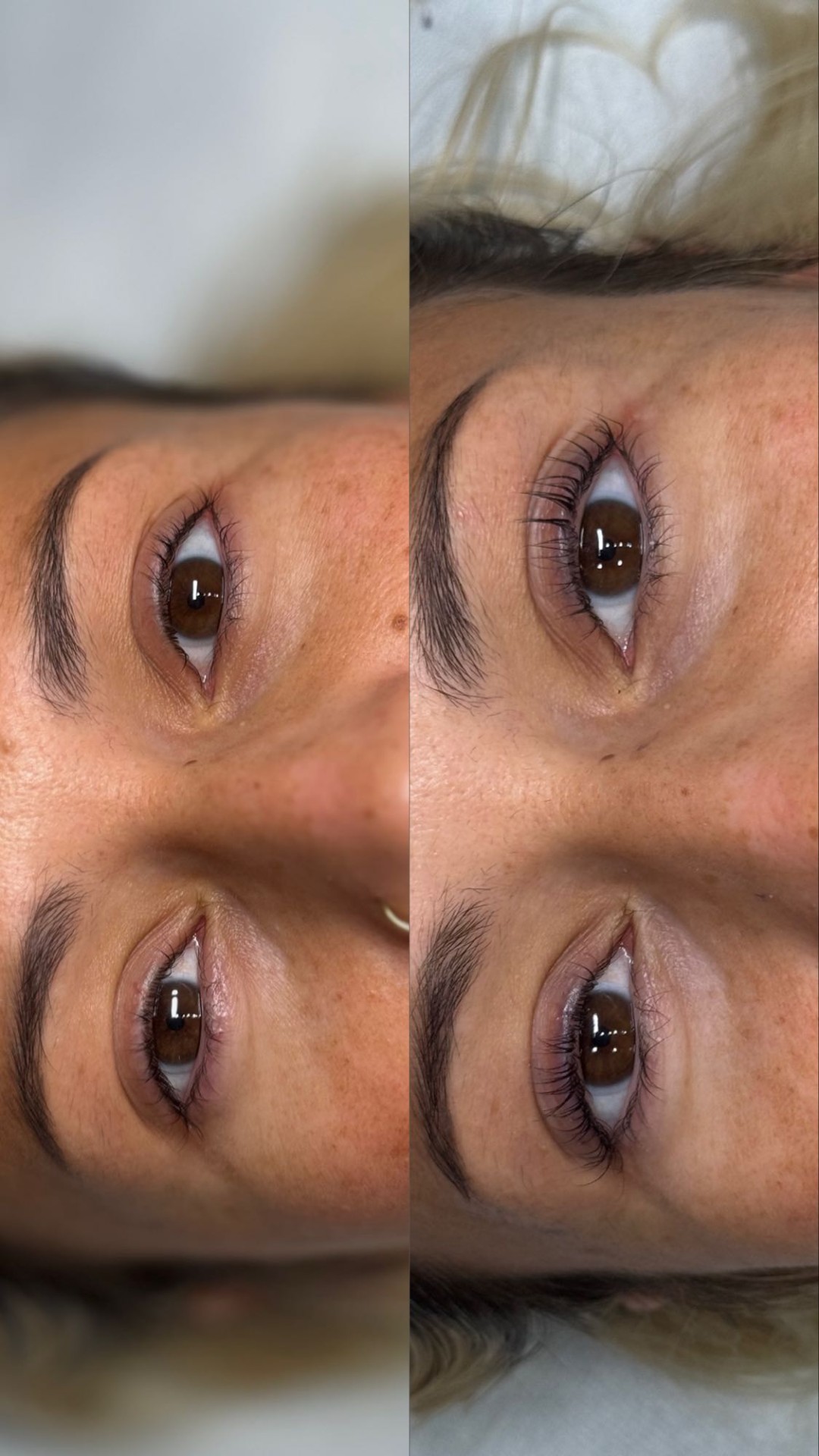 Alexandria Brow&Beauty lounge #beograd Trepavice Lash lift
