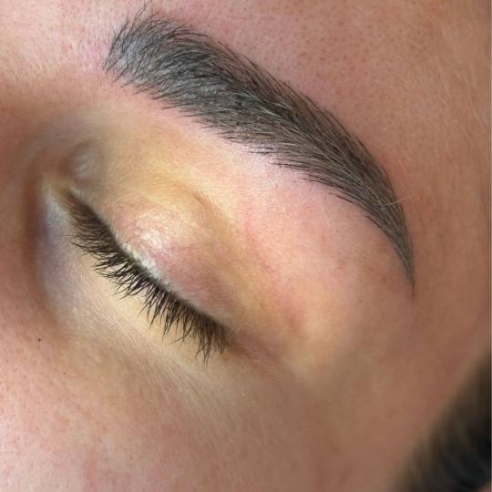 Esthetique Privé #beograd Trajna šminka Trajna šminka obrva - PHI BROWS MICROBLADING