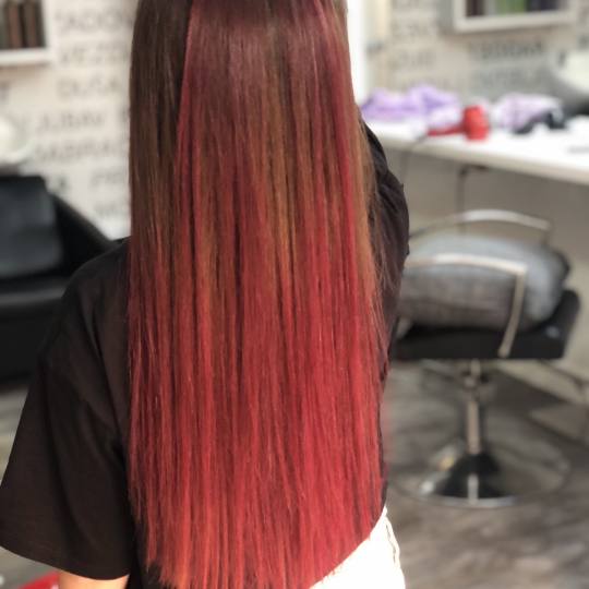 Pro Cut Zemun #beograd