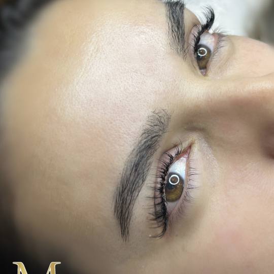 Almari Beauty Concept #kragujevac Nadogradnja trepavica Nadogradnja svilenih trepavica - 1 na 1