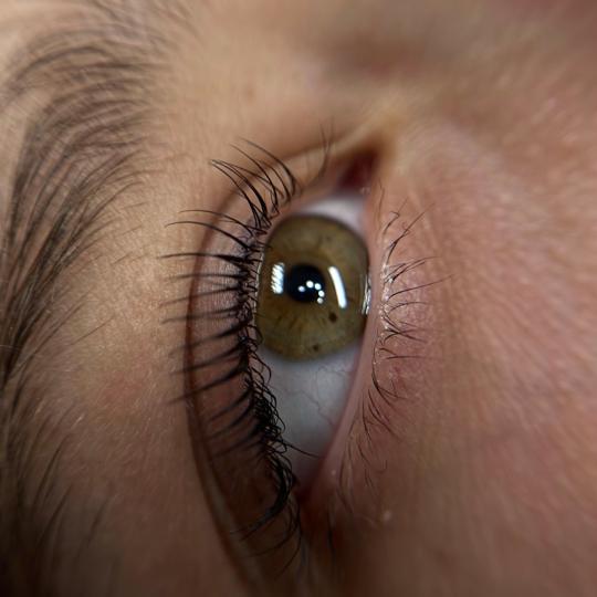 Kult #beograd Trepavice Lash lift