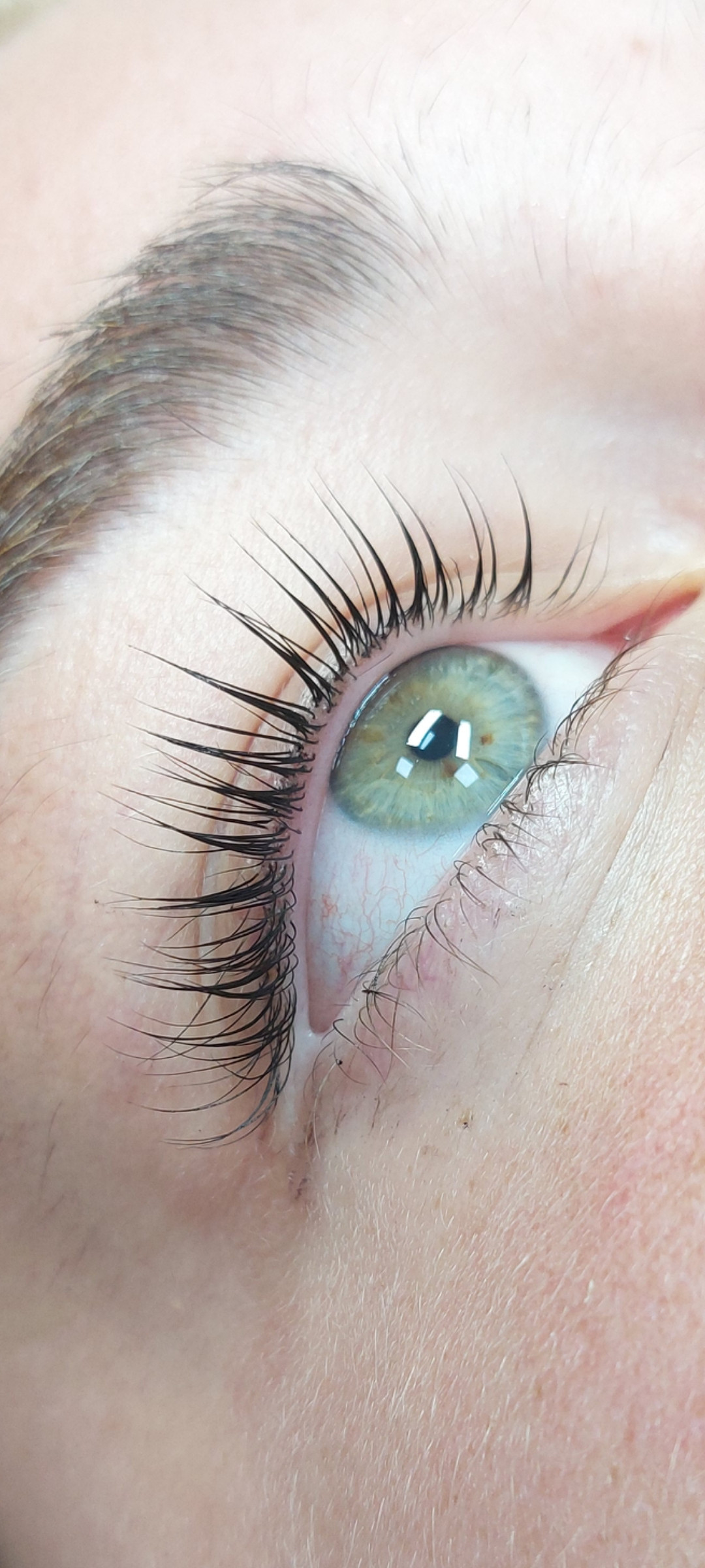 Andromeda Beauty Studio #beograd Nadogradnja trepavica Lash lift