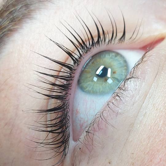 Andromeda Beauty Studio #beograd Nadogradnja trepavica Lash lift Ova metoda predstavlja uvijanje (po