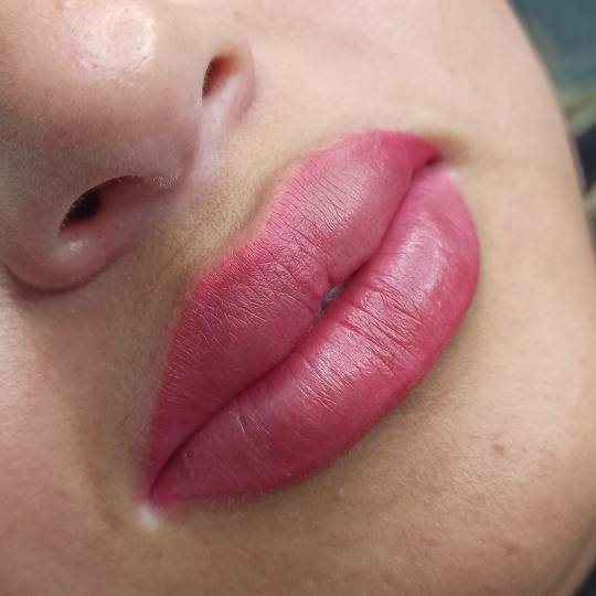Nega i lepota NS 3 #novisad Trajna šminka Trajna šminka usana + trajni eyeliner Svi pigmenti za us