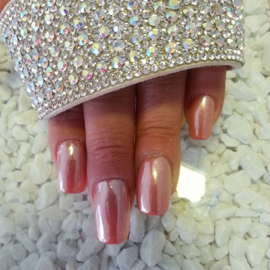 Phoenix Beauty Salon #beograd
