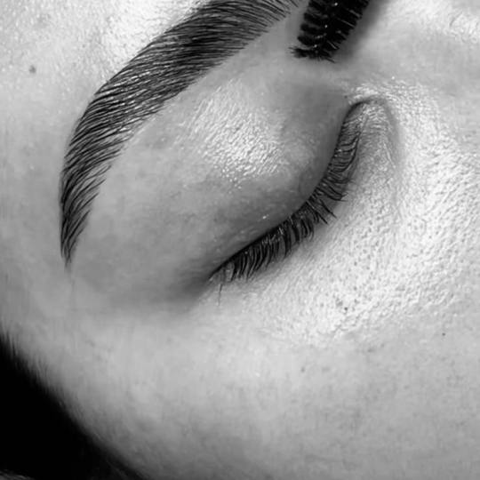 Lion King #beograd Obrve Brow lift