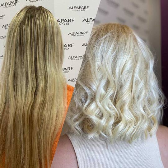 Alfaparf Studio #beograd Žensko šišanje Žensko šišanje - sve dužine kose