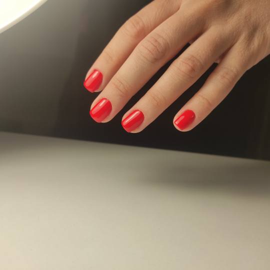 Signorina Vračar #beograd Gel lak Gel lak - ruke