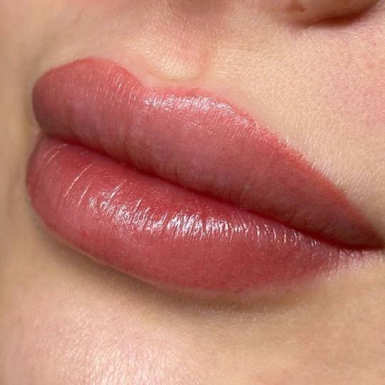 Beauty Glam House #nis Trajna šminka Labelo lips