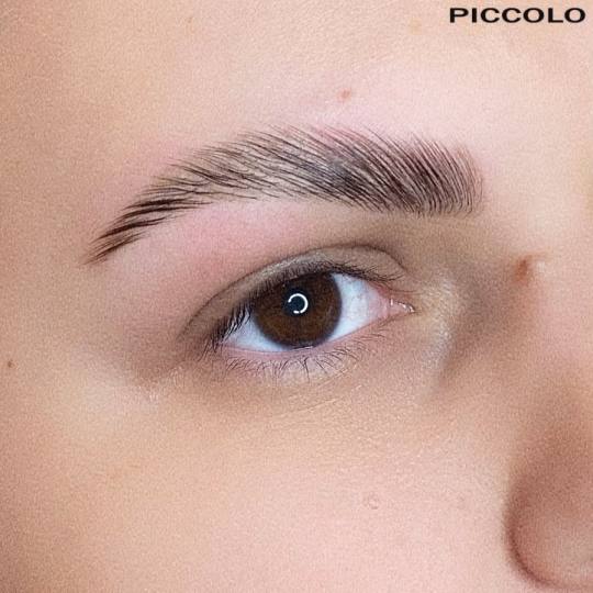 Elite Studio Piccolo #beograd Obrve Laminacija obrva + farbanje