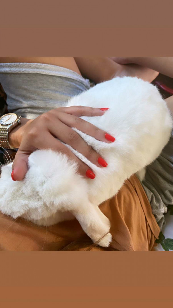 OPI - ALOXXI Vračar #beograd Gel lak