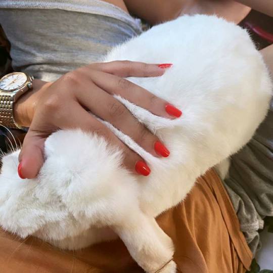 OPI - ALOXXI Vračar #beograd Gel lak Aloxa from Opi Korekcija gel laka - ruke Ukoliko je razlika iz