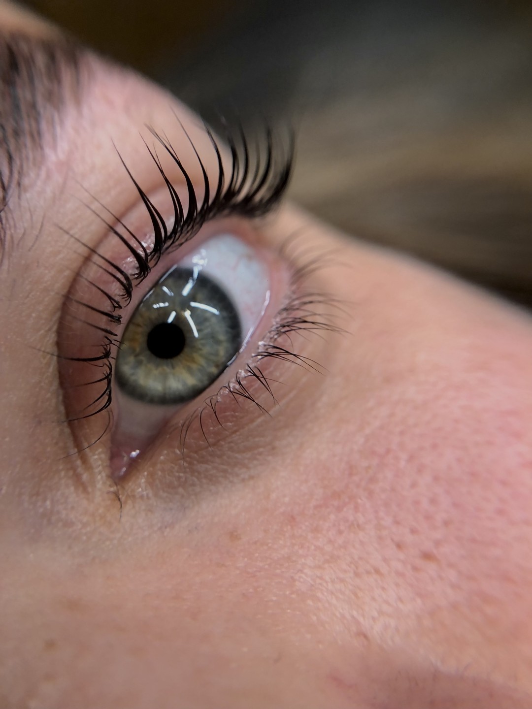 Svemir Beauty Palace #beograd Obrve Lash lift+ farbanje obrva + botox