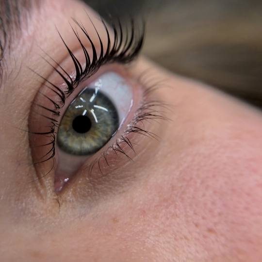 Svemir Beauty Palace #beograd Obrve Lash lift+ farbanje obrva + botox