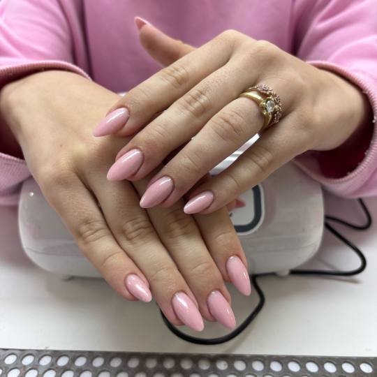 Nikola @ Aleksa usluga