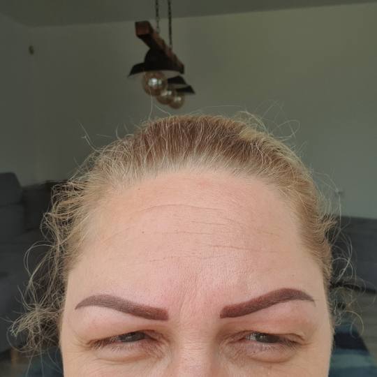 Studio Diva #kragujevac Obrve Puder obrve