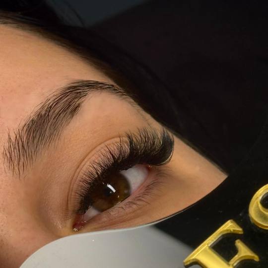 Industrija lepote 22 #beograd Nadogradnja trepavica Nadogradnja trepavica - kašmir trepavice 6D