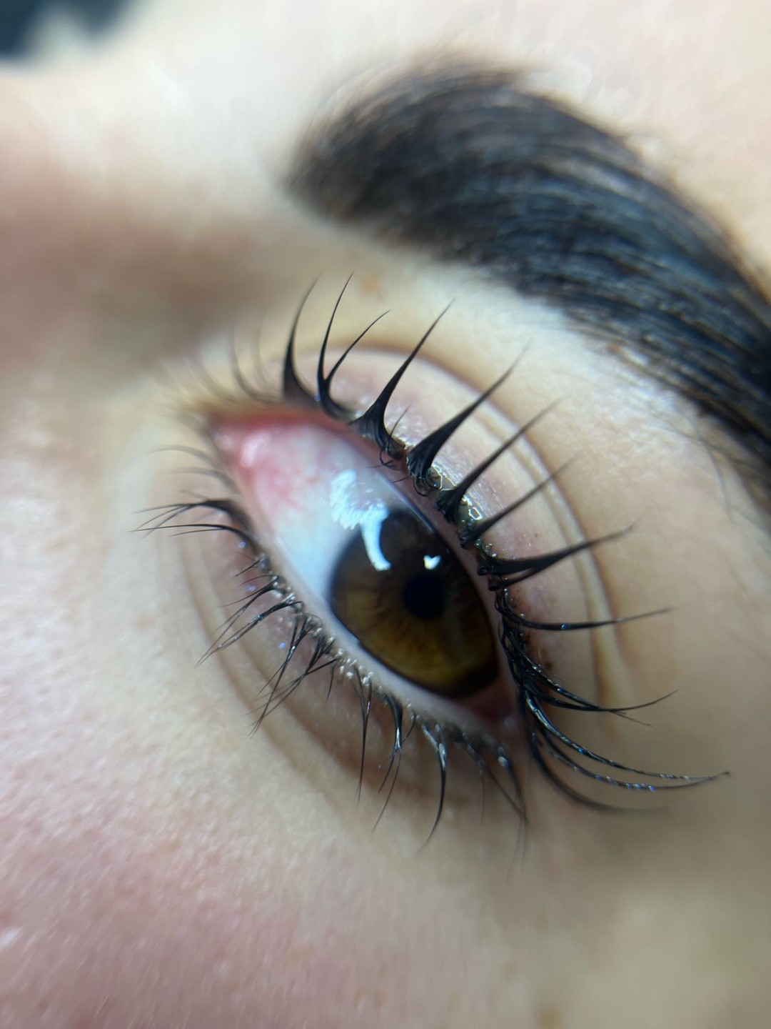 Hermanita beauty studio #beograd Trepavice Lash lift