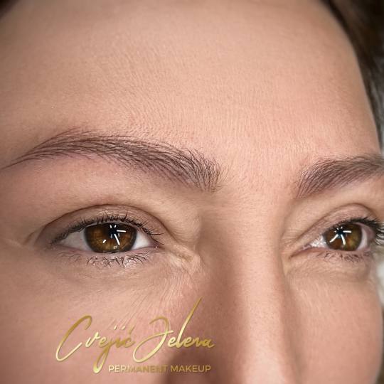 ElenA Studio #novisad Trajna šminka Hairstroke - prvi tretman Hairstroke obrve - dobija se efekat p