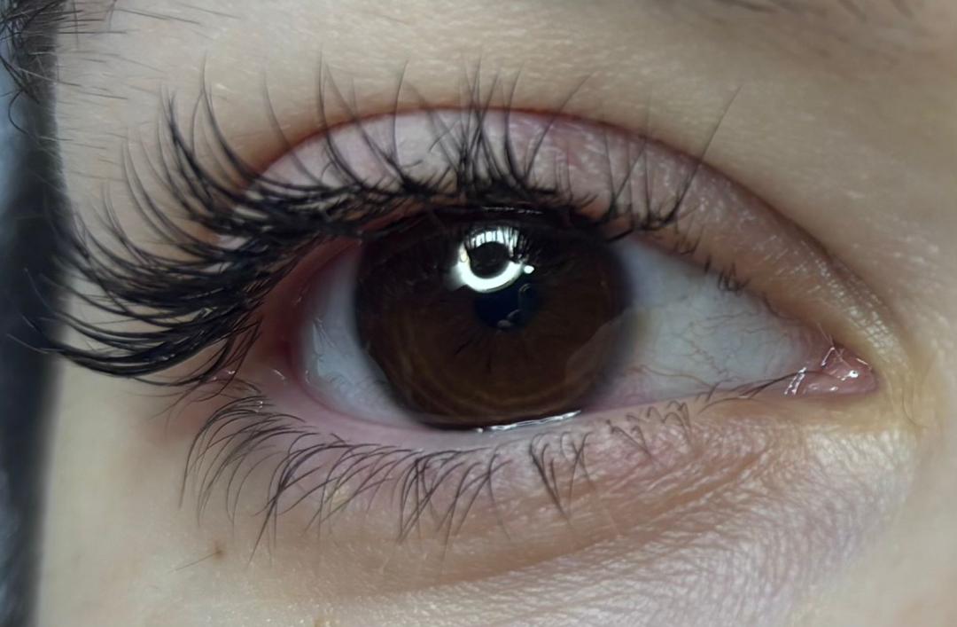 Angels #novisad Obrve Nadogradnja trepavica 1:1