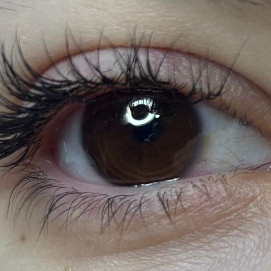 Angels #novisad Obrve Nadogradnja trepavica 1:1