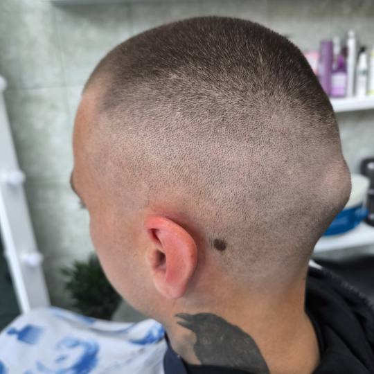 Candy S #novisad Muško šišanje Šišanje - fade metoda